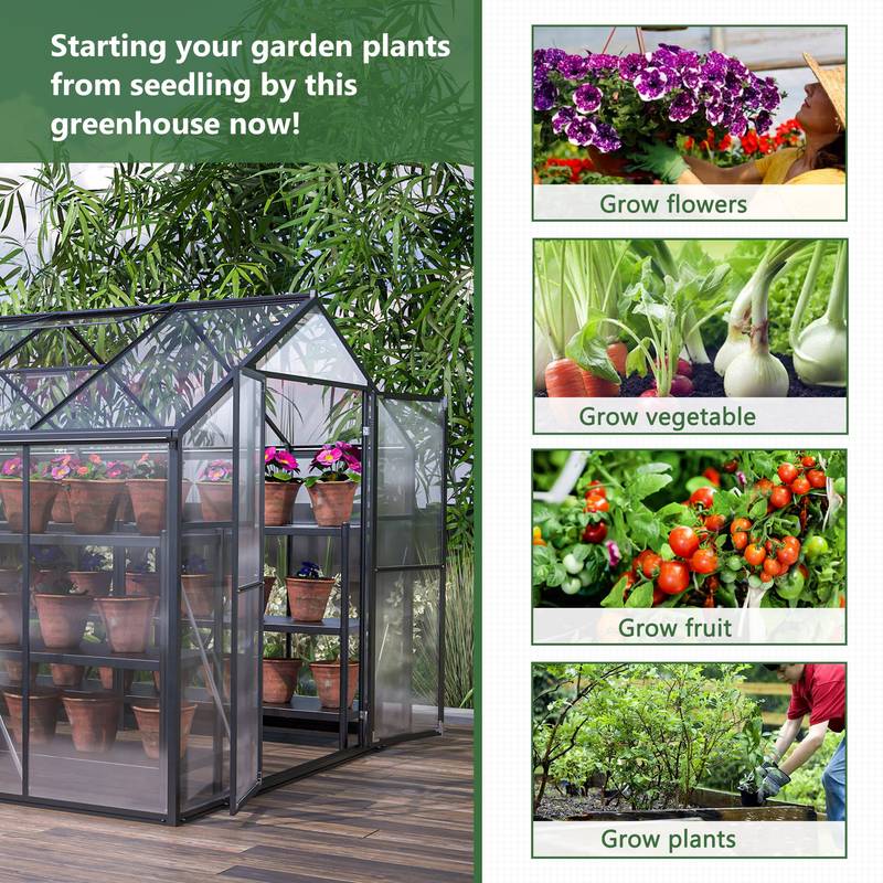 SunnyGreen Walk-In Greenhouse