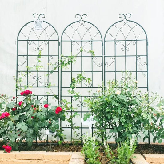 ClimbHigh: Rust-Free Plant Trellis Set