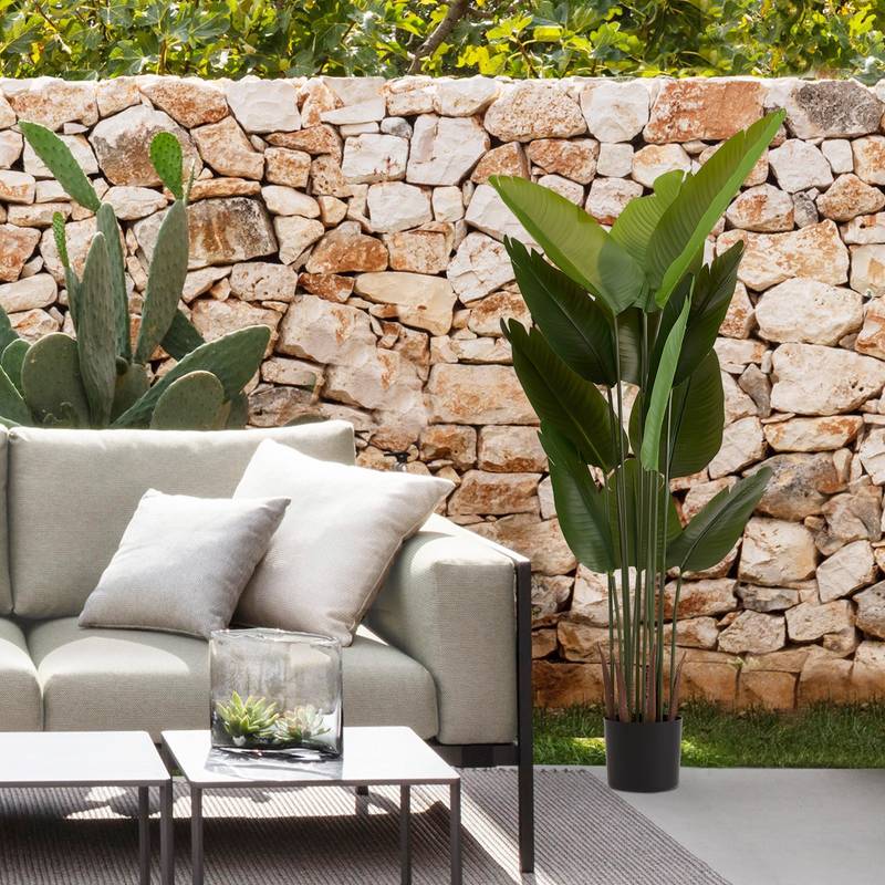 Lush Greenery Duo - Perfect for Any Space!