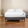 OkiOki King Comfort Shield