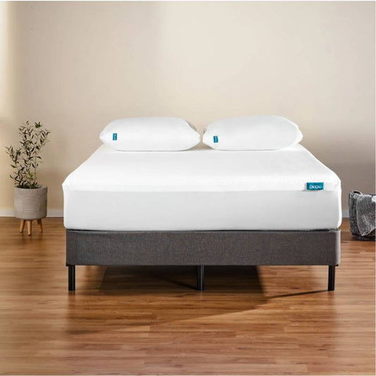 SleepGuard King Mattress Protector
