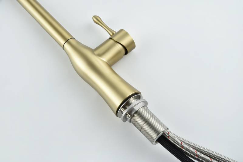 Gold Pull-Down Kitchen Faucet