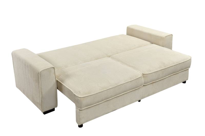 Cozy Modern Sofa Bed with Hidden Storage