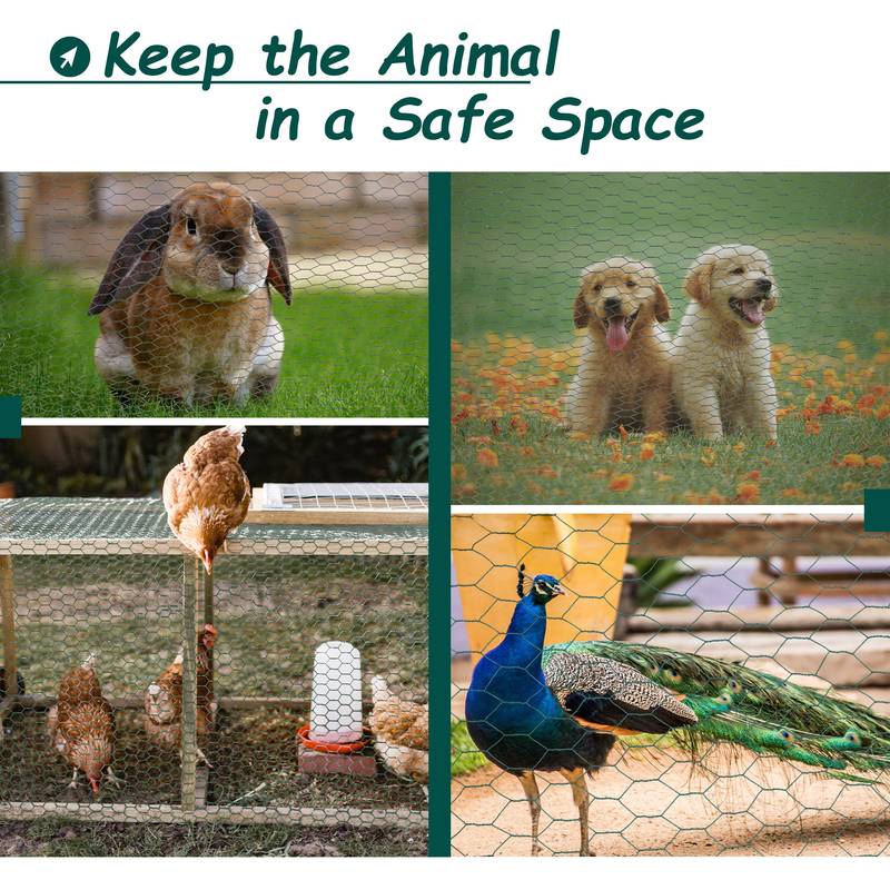 Garden Guardian Chicken Wire Fencing