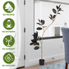 Lush Tropical Bonsai - UV-Resistant Artificial Plant