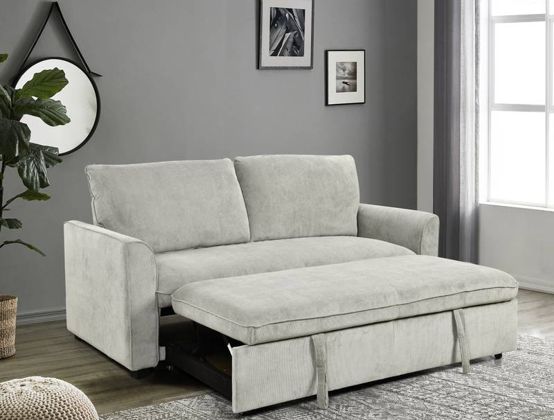 Versatile Grey Sleeper Sofa & Loveseat