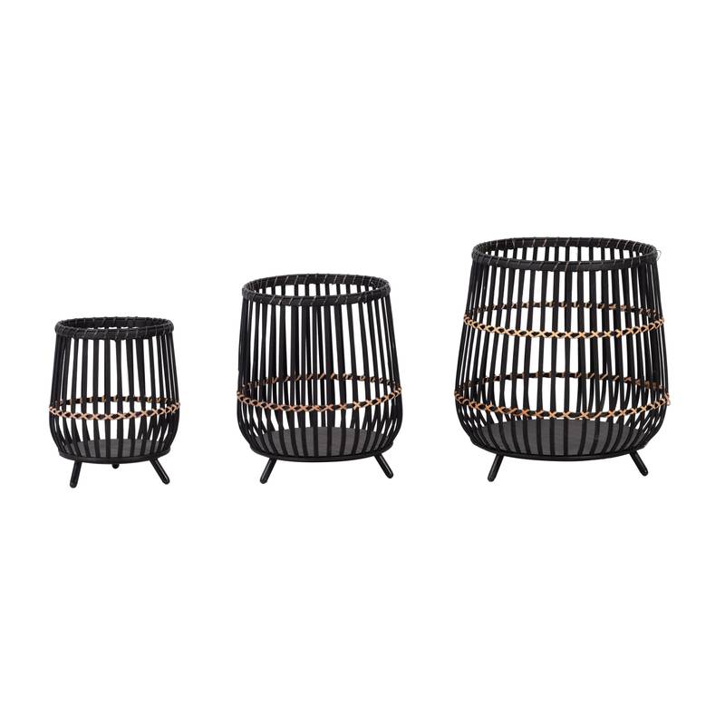 Bamboo Delight Plant Set - Stylish Black Planters