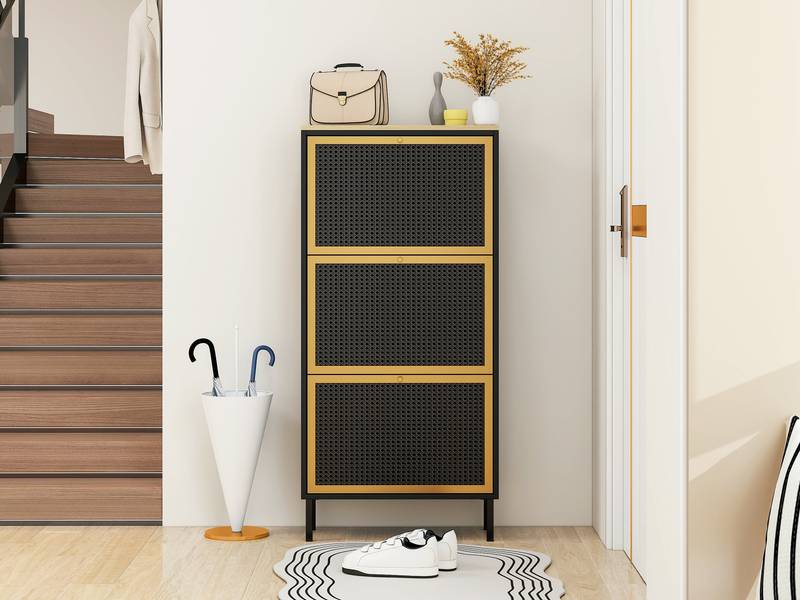 Chic Metal Shoe Rack for Entryway