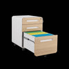 Rolling File Organizer - Stylish Storage on Wheels