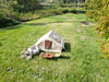 Cozy Air Tent - Effortless 4-Season Glamping for Families