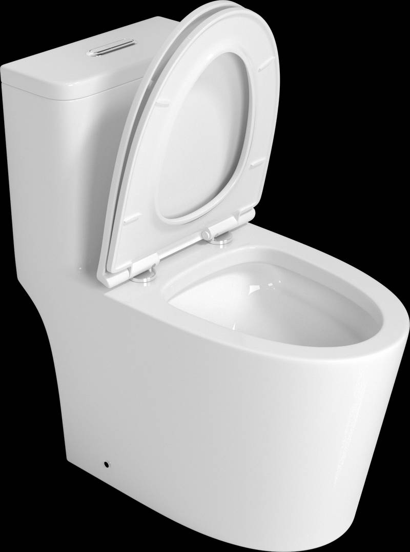 Premium One-Piece Toilet with Top Accessories