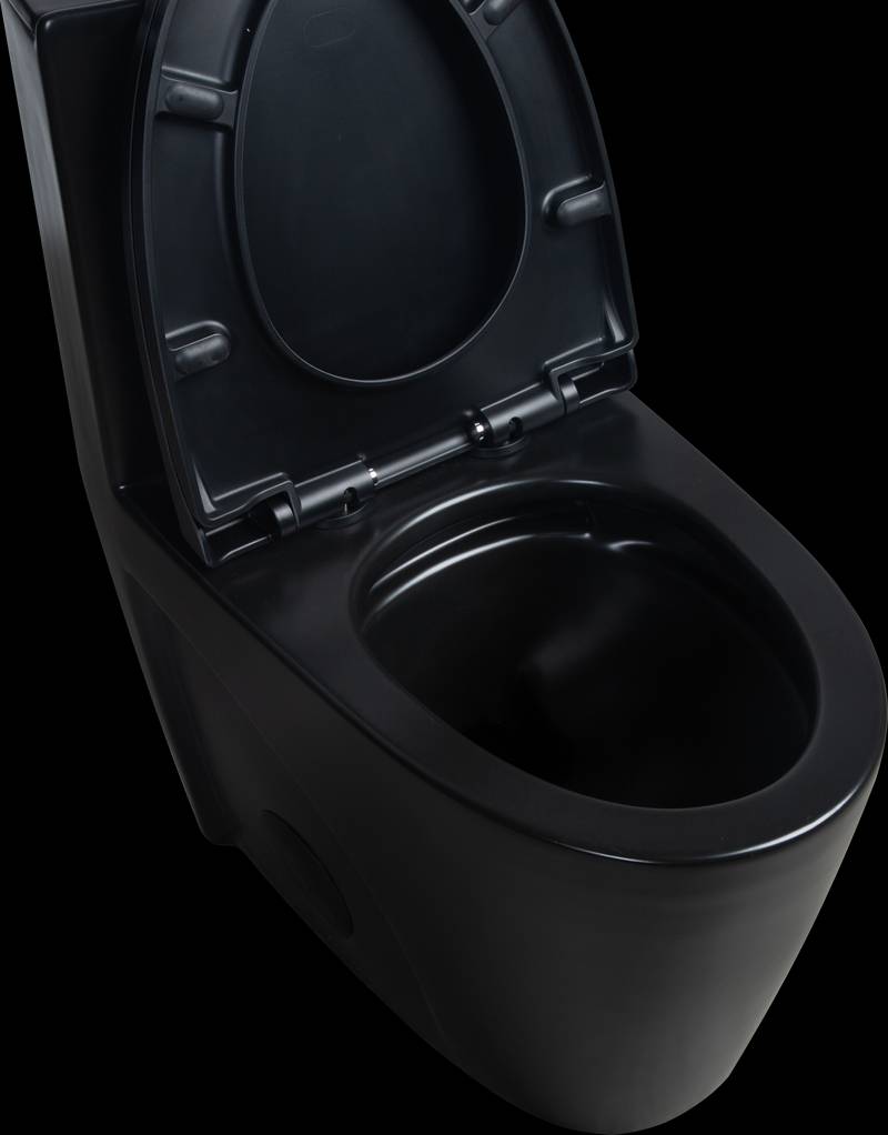 Matte Black Dual-Flush Comfort Toilet