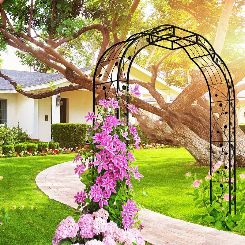 Elegant Climbing Arch for Garden Plants