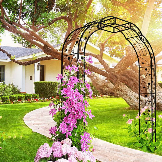 Elegant Climbing Arch for Garden Plants