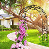 Elegant Climbing Arch for Garden Plants