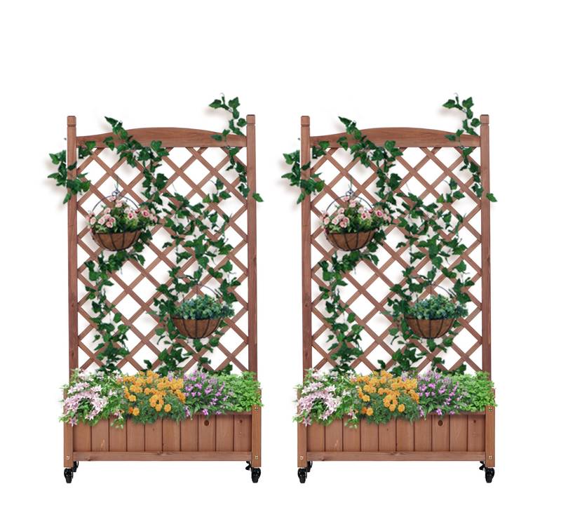 Garden Oasis Duo: Raised Planter with Climbing Trellis