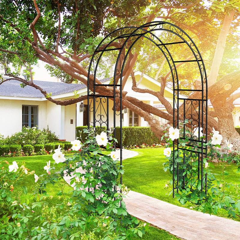 Charming Garden Arch for Climbing Plants
