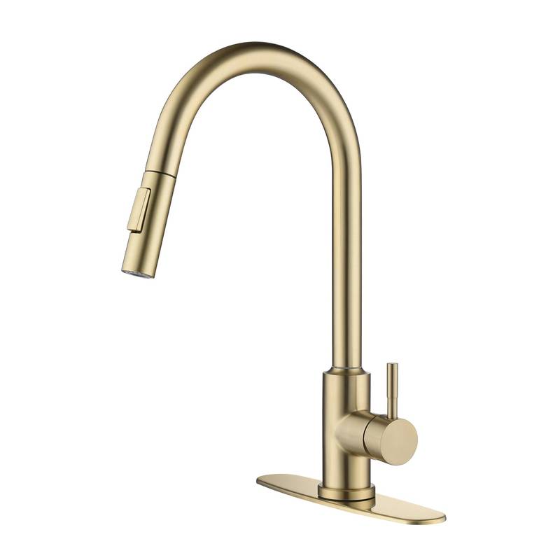 Spry Touch Kitchen Faucet