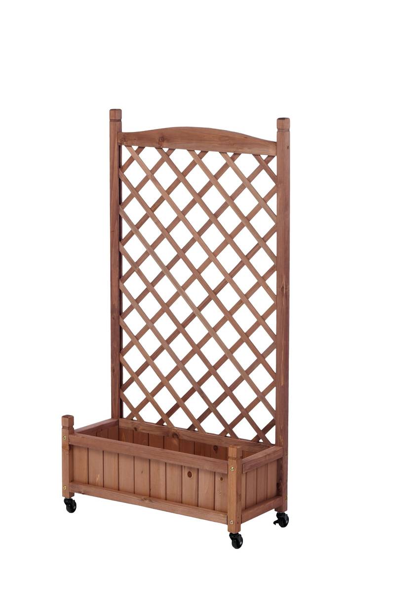 Garden Oasis Duo: Raised Planter with Climbing Trellis