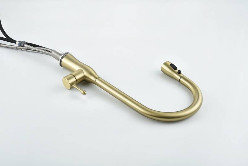 Gold Pull-Down Kitchen Faucet