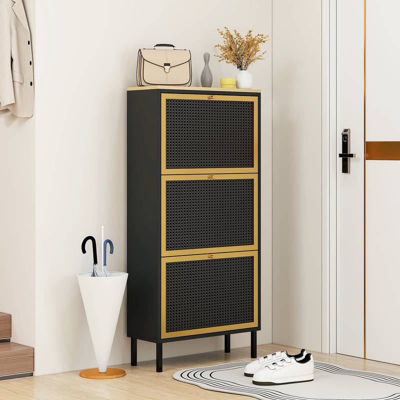 Chic Metal Shoe Rack for Entryway