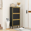 Chic Metal Shoe Rack for Entryway