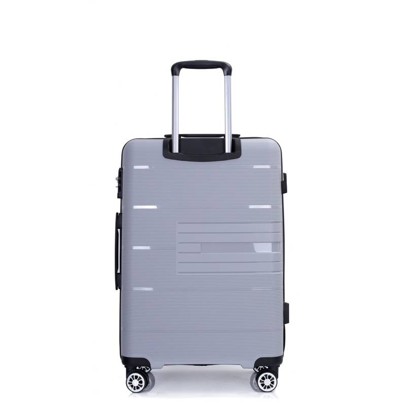 Silver Spin & Secure Luggage Set