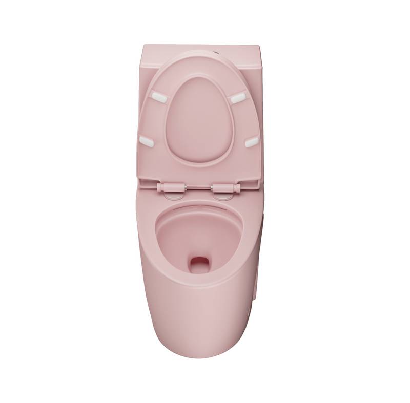 Pink Rose Eco-Friendly Comfort Toilet