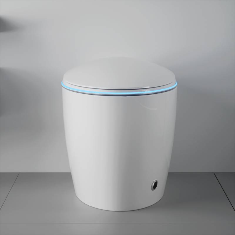 Smart Bidet Toilet: Luxury Comfort & High-Tech Features