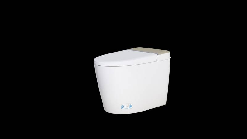 Ultimate Comfort Smart Toilet