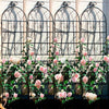 Climb & Shine Trellis Set