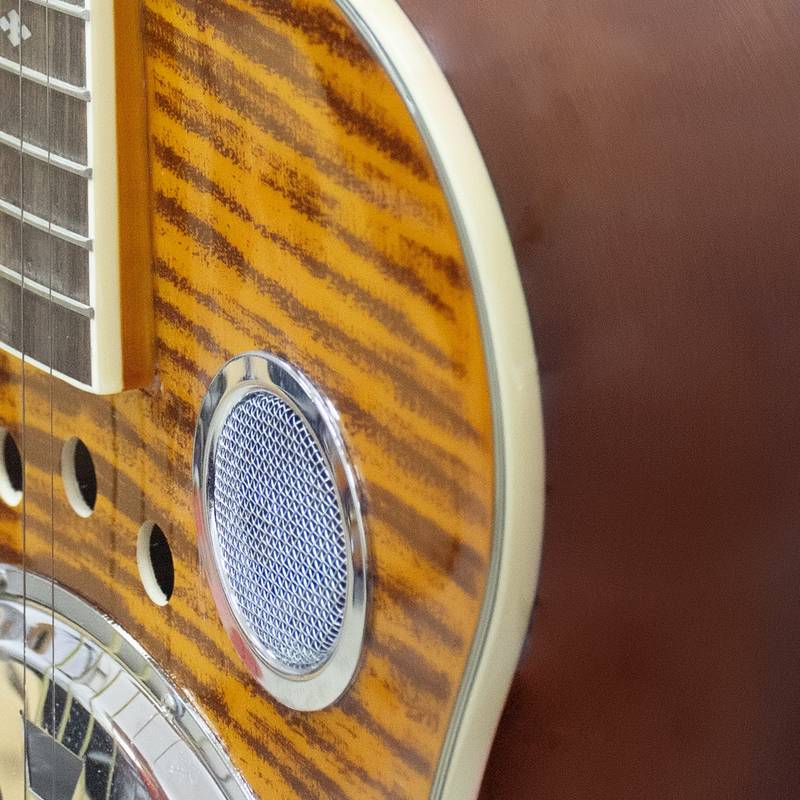 Essential Resonator Guitar with Preamplifier