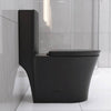 Sleek Black Eco-Friendly Toilet