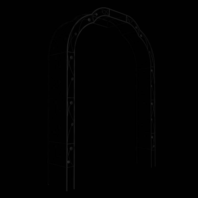 Elegant Climbing Arch for Garden Plants