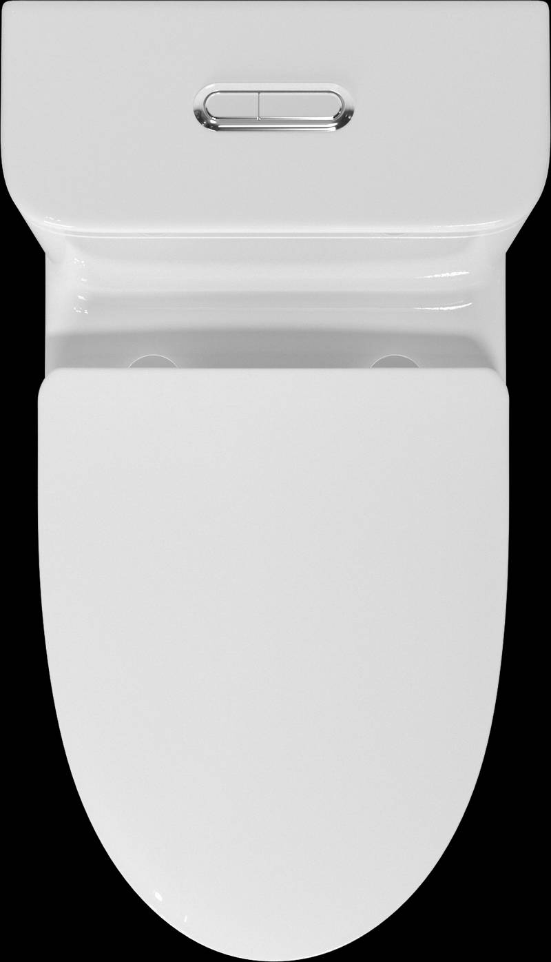 Premium One-Piece Toilet with Top Accessories