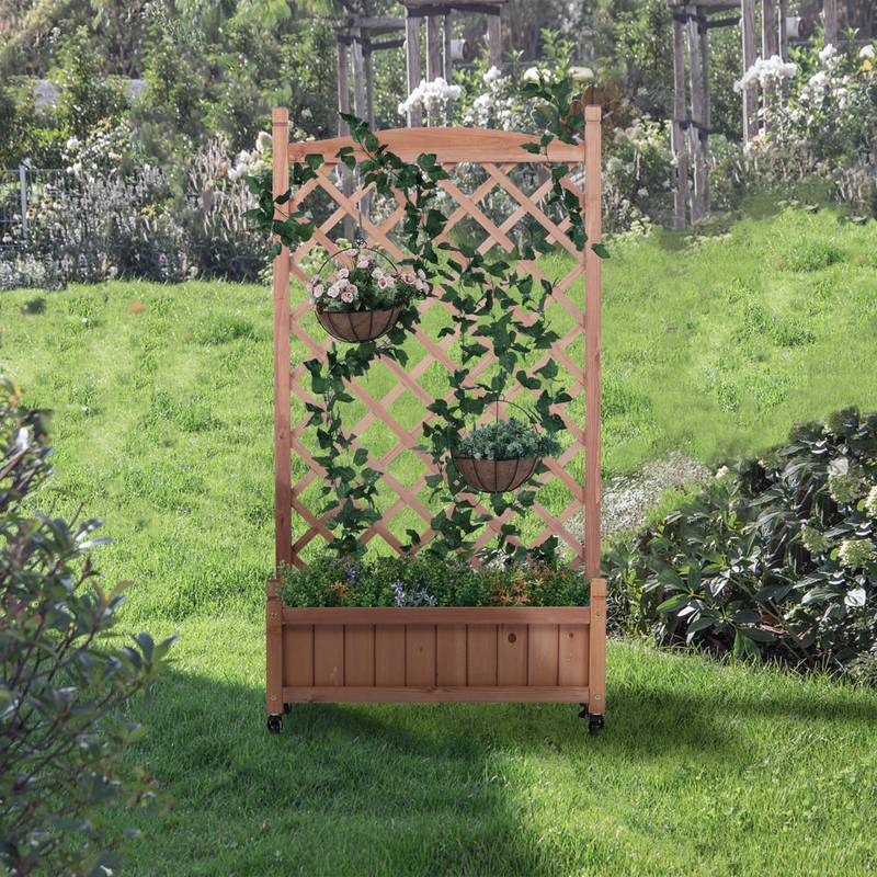 Garden Oasis Duo: Raised Planter with Climbing Trellis