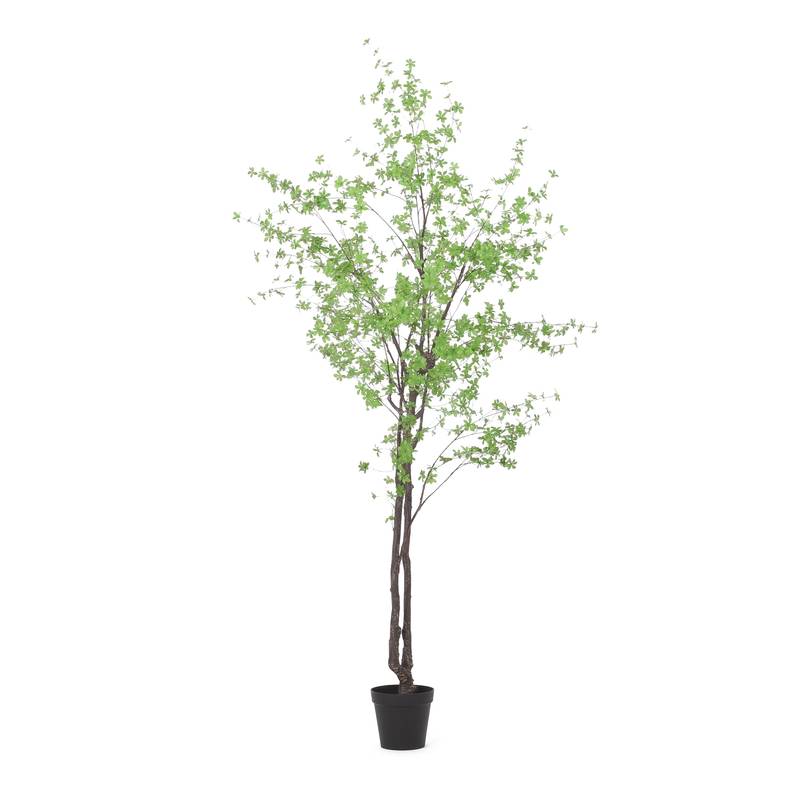 Vibrant Disc Leaf Tree