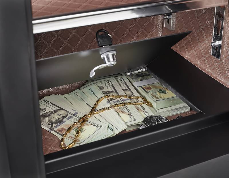 SecureSafe: Digital Lock & Dual Alarm Vault