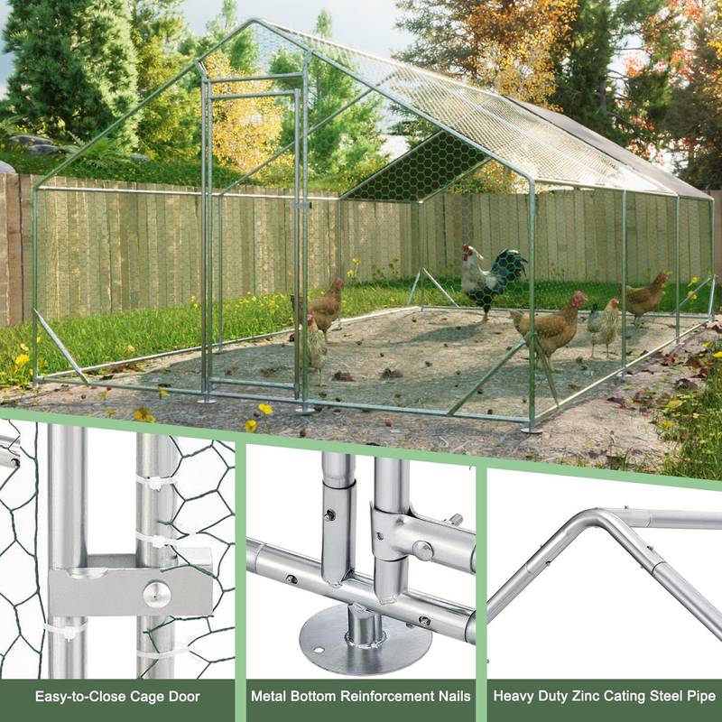 Ultimate Outdoor Chicken & Rabbit Coop