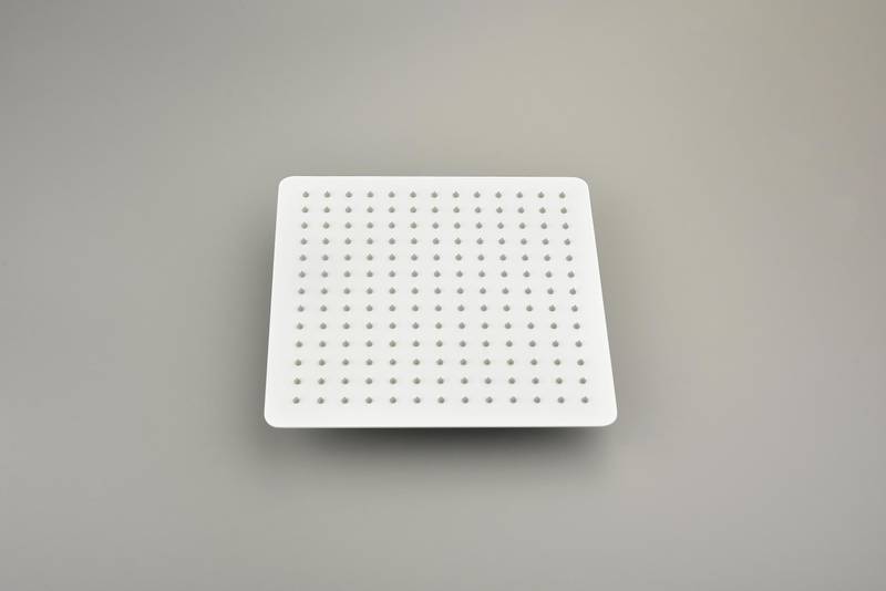Cloudburst Rain Shower Head