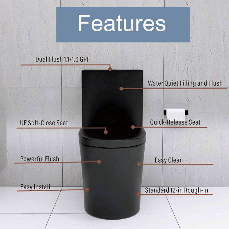 Sleek Black Eco-Friendly Toilet