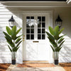 Traveler's Banana Leaf Décor Set