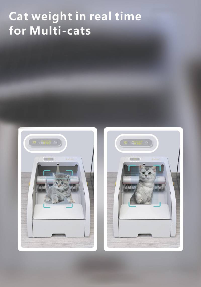 Easy Access Smart Cat Litter Box