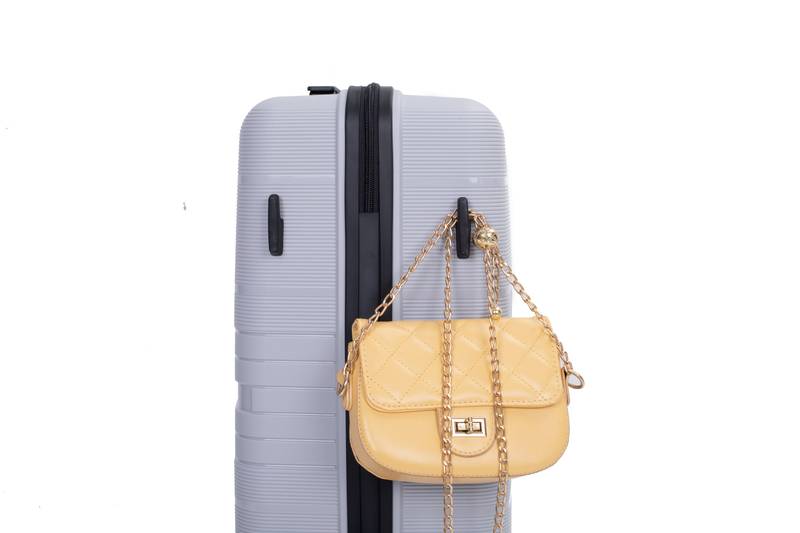 Silver Spin & Secure Luggage Set