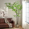 Vibrant Disc Leaf Tree