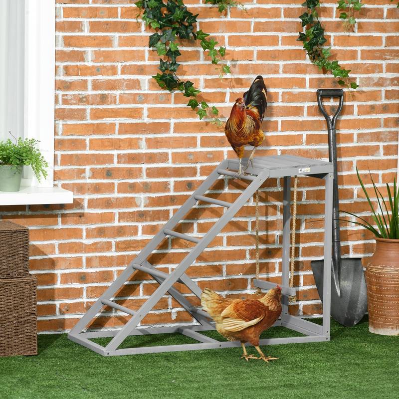 Happy Chickens Swing Set & Play Station