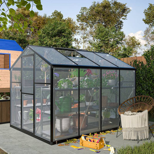 Easy Set-Up Backyard Greenhouse