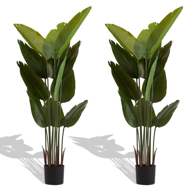 Lush Greenery Duo - Perfect for Any Space!
