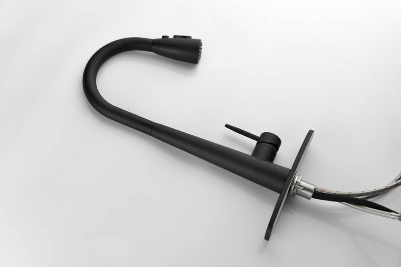 Sleek Pull-Down Kitchen Faucet