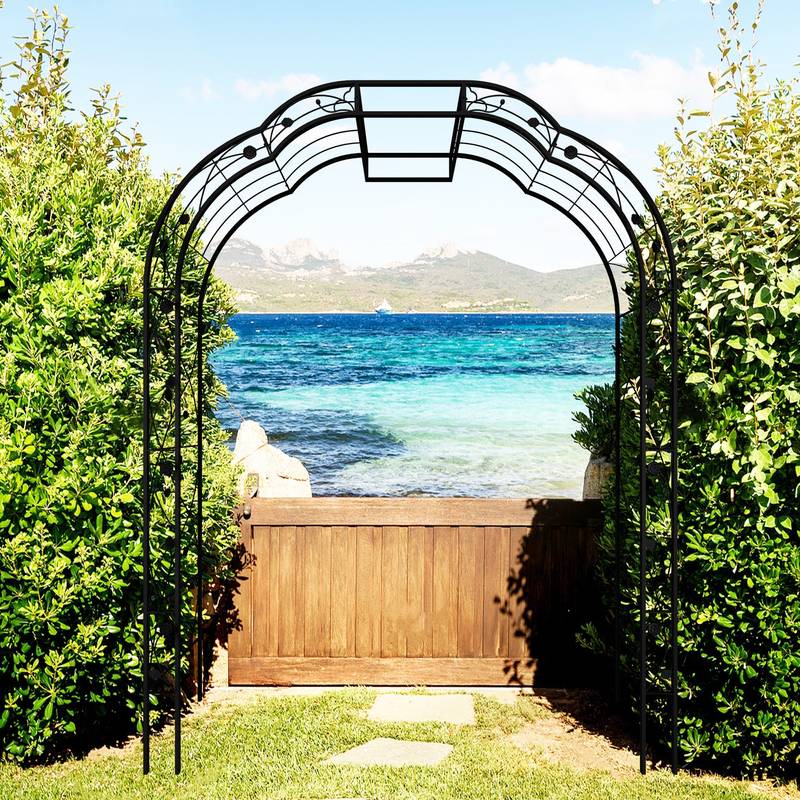 Elegant Climbing Arch for Garden Plants